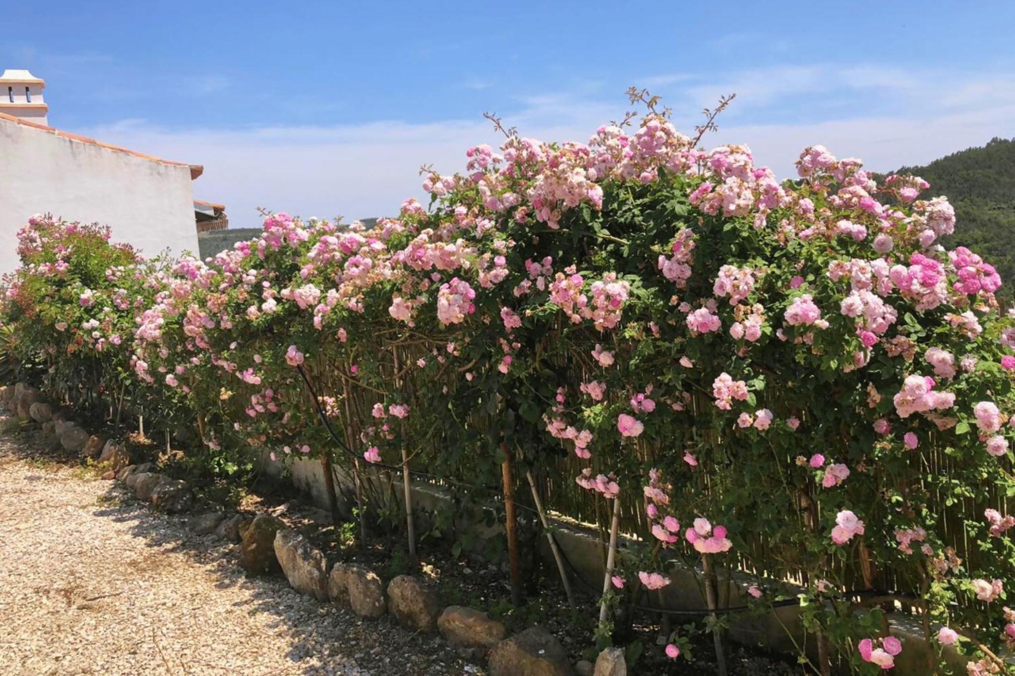 Casas Da Tia Alice - Casas De Campo Encantadoras Em 马夫拉 外观 照片
