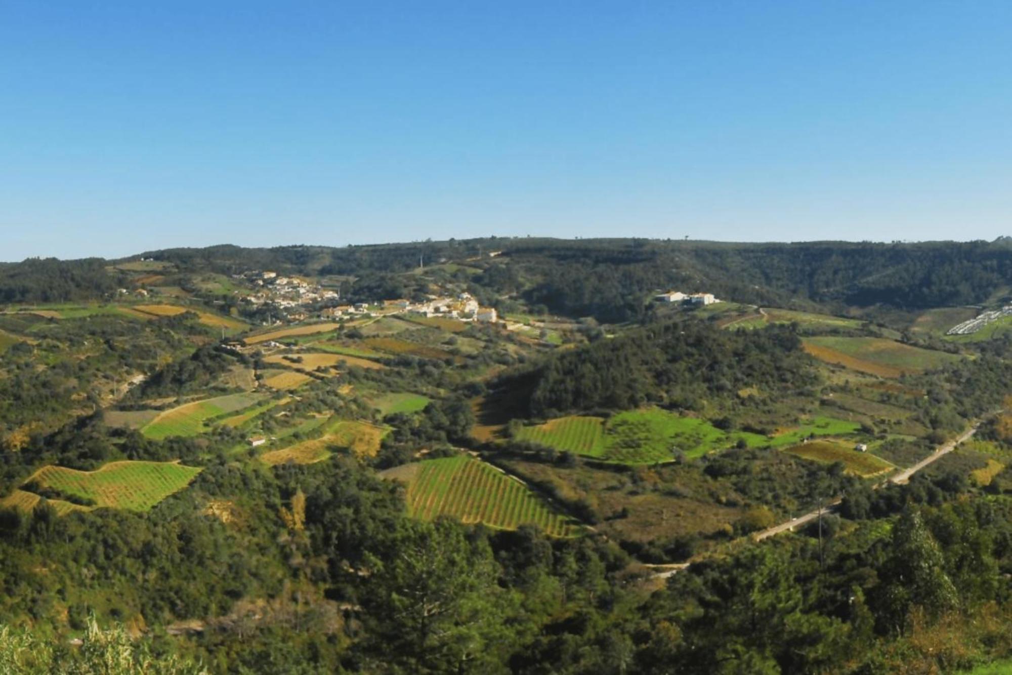 Casas Da Tia Alice - Casas De Campo Encantadoras Em 马夫拉 外观 照片