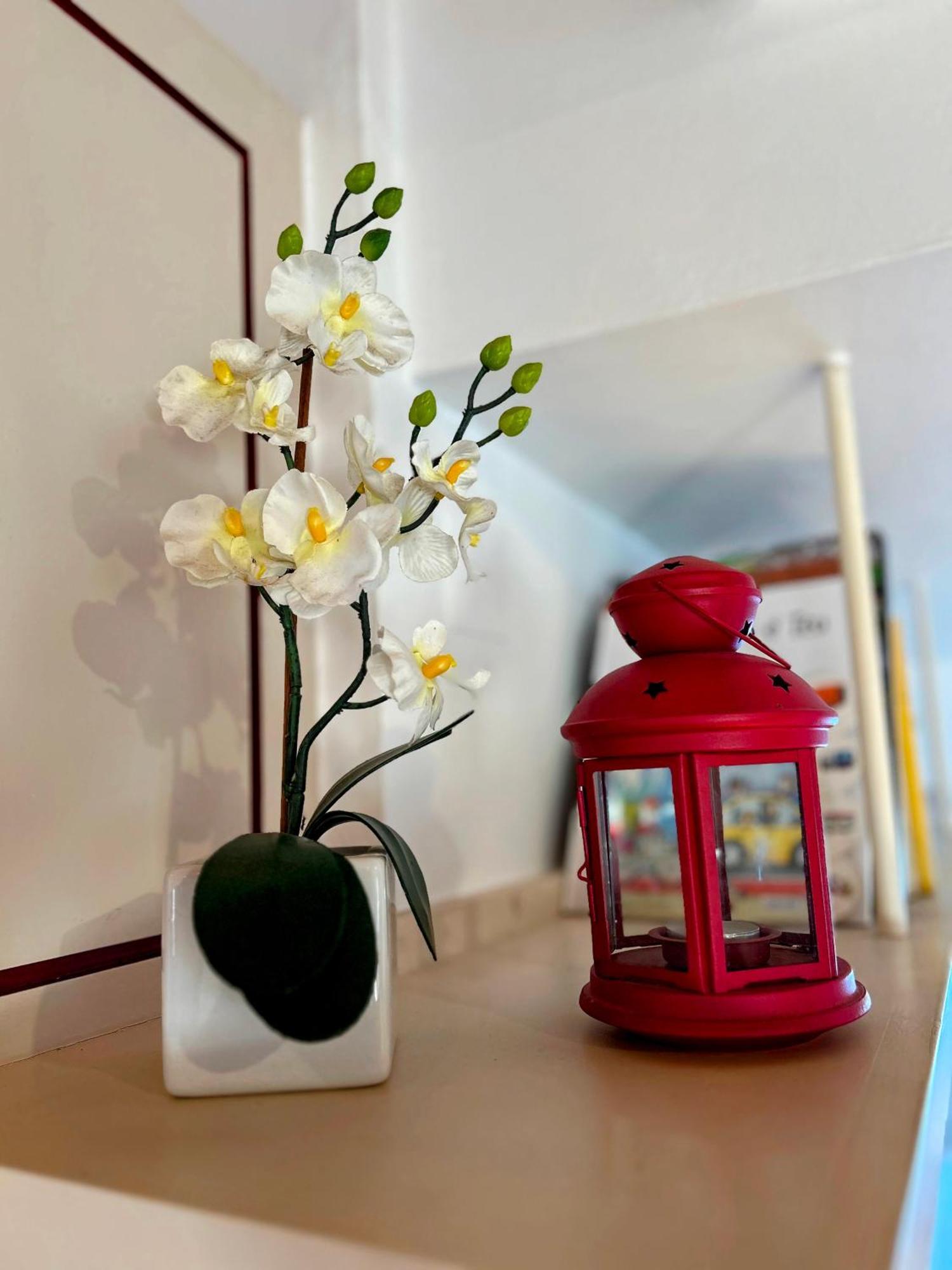 Casas Da Tia Alice - Casas De Campo Encantadoras Em 马夫拉 外观 照片